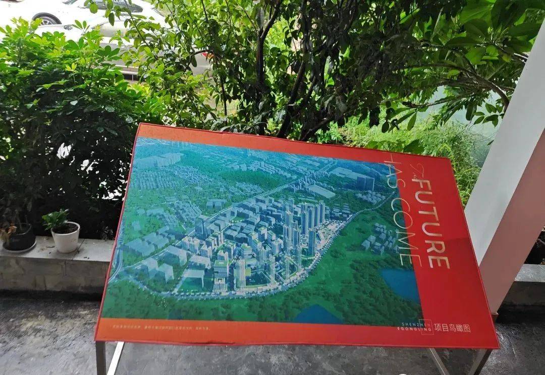 平湖鹅公岭工业区土地整备利益统筹项目!_社区_工作_安置