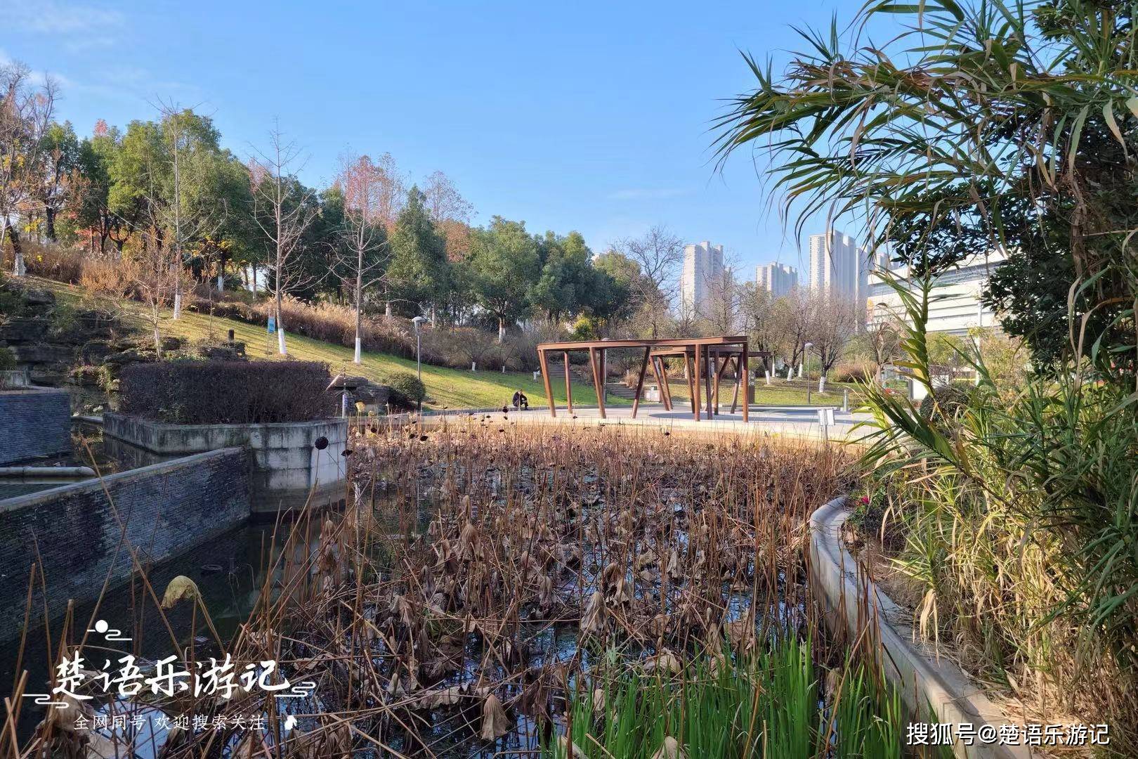 浙江余姚屯山公园,五彩斑斓堪称秋色天花板,它到底有多美?