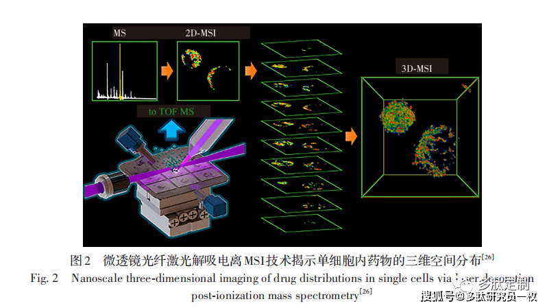 質譜分子成像技術與應用進展_分析_離子_樣品