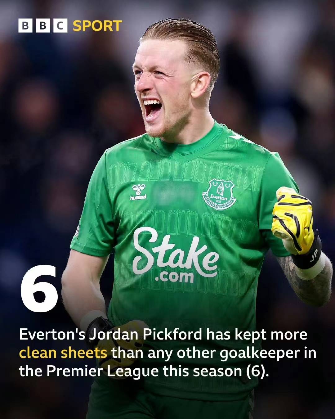 埃弗顿门将皮克福德零封场次登顶英超_比赛_对手_联赛