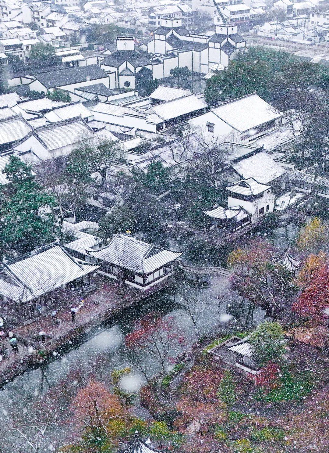 苏州拙政园雪景图片