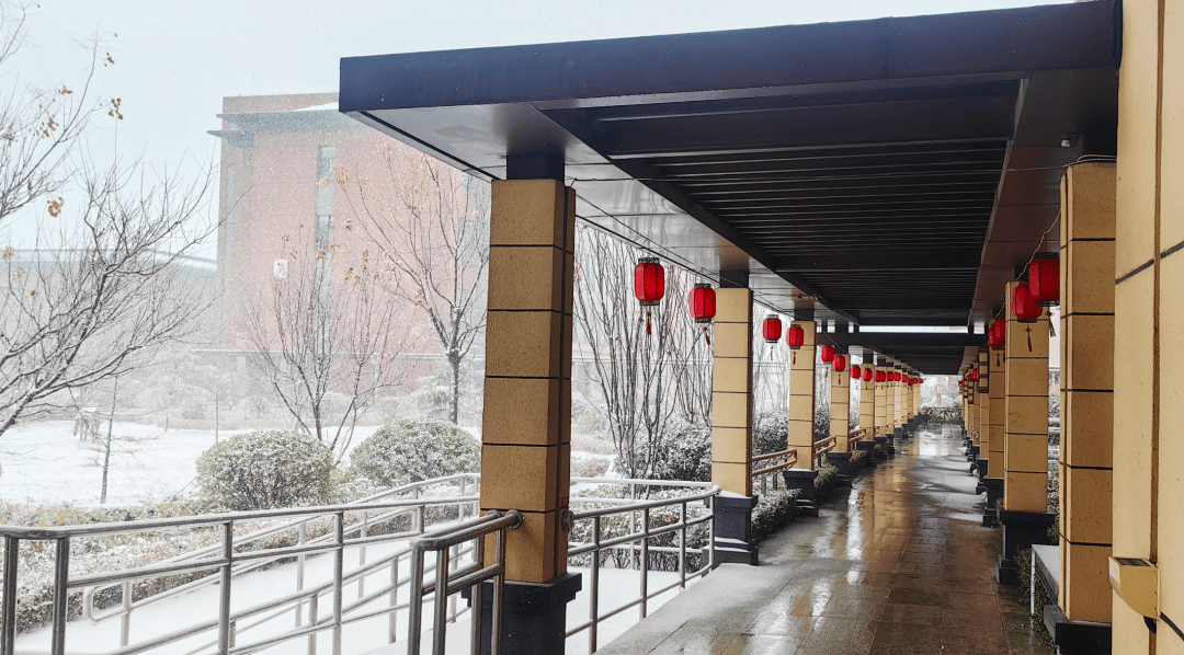 宁波颐康医院(宁波颐康医院中医)