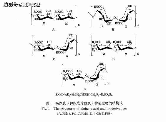 常見褐藻糖類簡介_海帶_多糖_分子