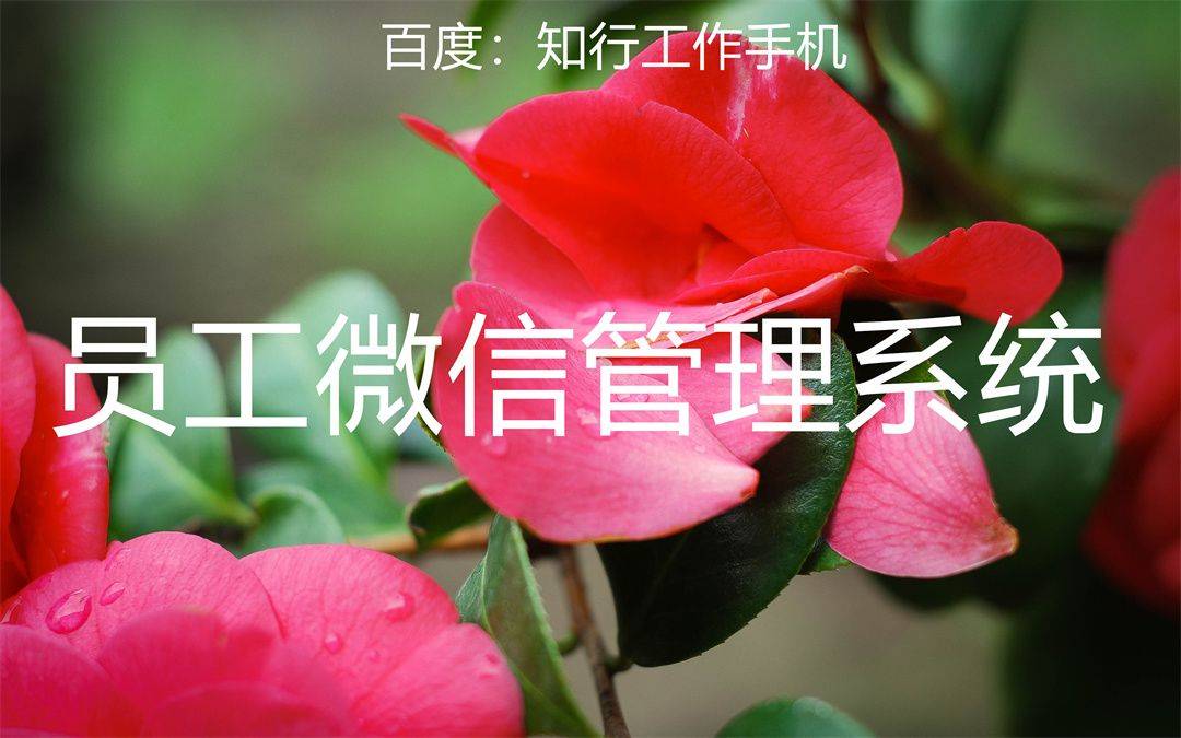 微信怎么和客户互动_和微信客户互动有哪些方式_互动微信客户服务电话
