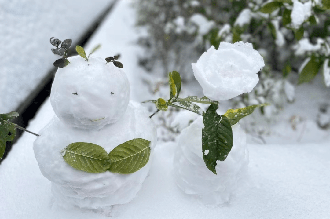 朗博特看看藥穀人在這個雪天整出了什麼花活不僅有群魔亂舞的雪人