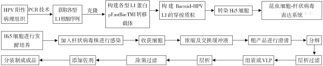 接种_包括_病毒