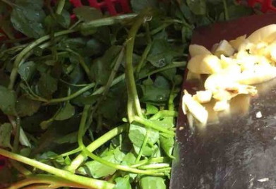 这种菜40块钱一斤,吃起来爽口下饭,多吃能化痰止咳还增强抵抗力(图3) 这种菜40块钱一斤,吃起来爽口下饭,多吃能化痰止咳还增强抵抗力(图3)