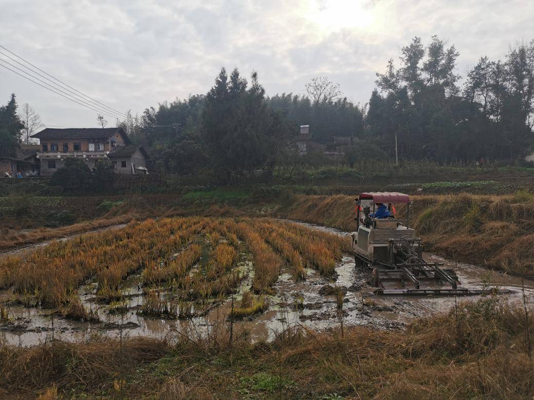 学习土地不流转规模化经营创新模式 高翔院长赴梁平区碧山镇龙桥村