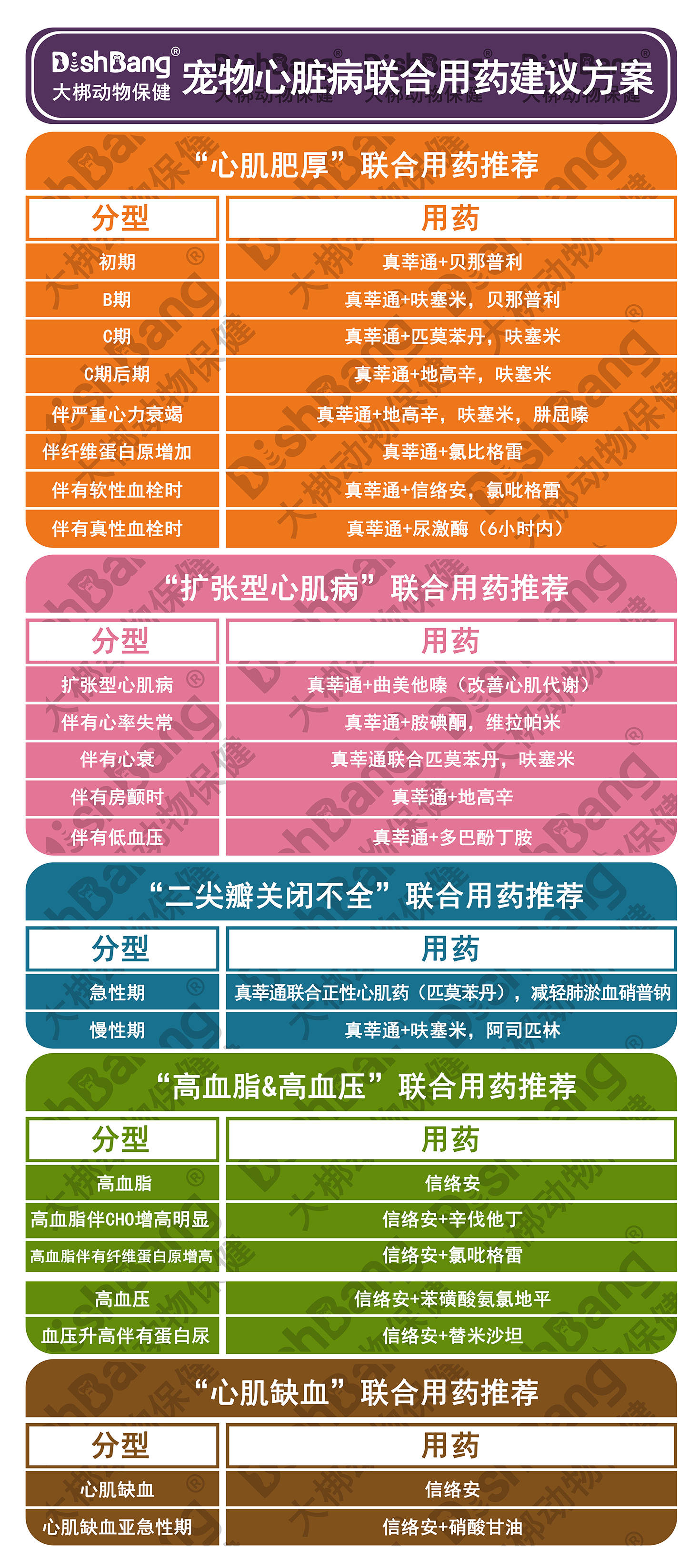 猫咪得了肥厚性心肌病怎么办?