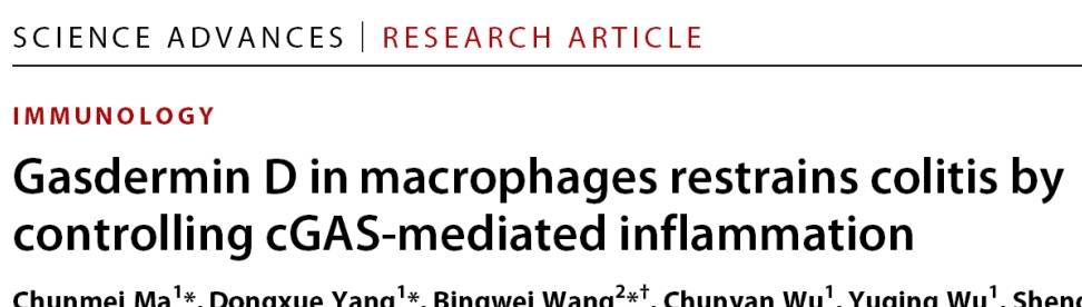 重磅研究:焦亡效應分子控制結腸炎發生的機制_腸道_調節_炎症