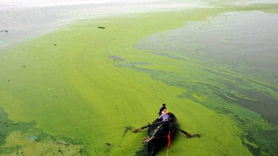 中国很多地方缺水，黄河长江流入大海，为何不修大坝**利用呢？(图9)