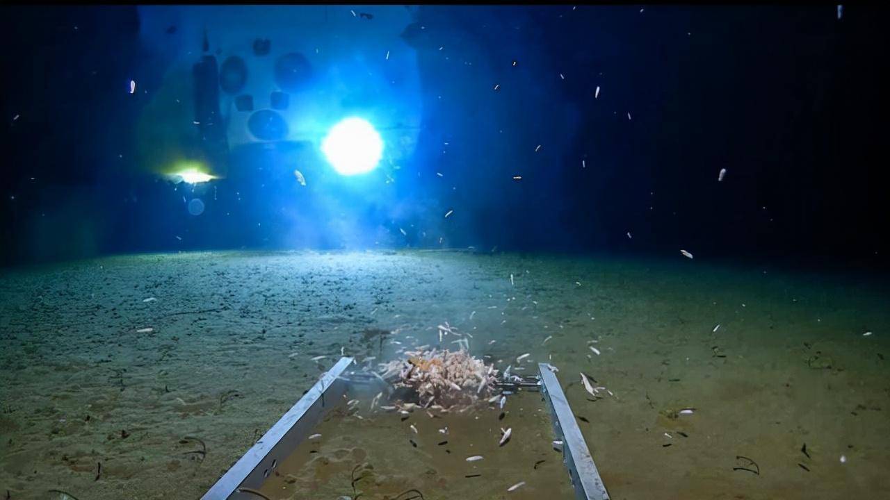 神秘的马里亚纳海沟：每年吞噬30亿吨海水，为何海平面依然不降？(图3)