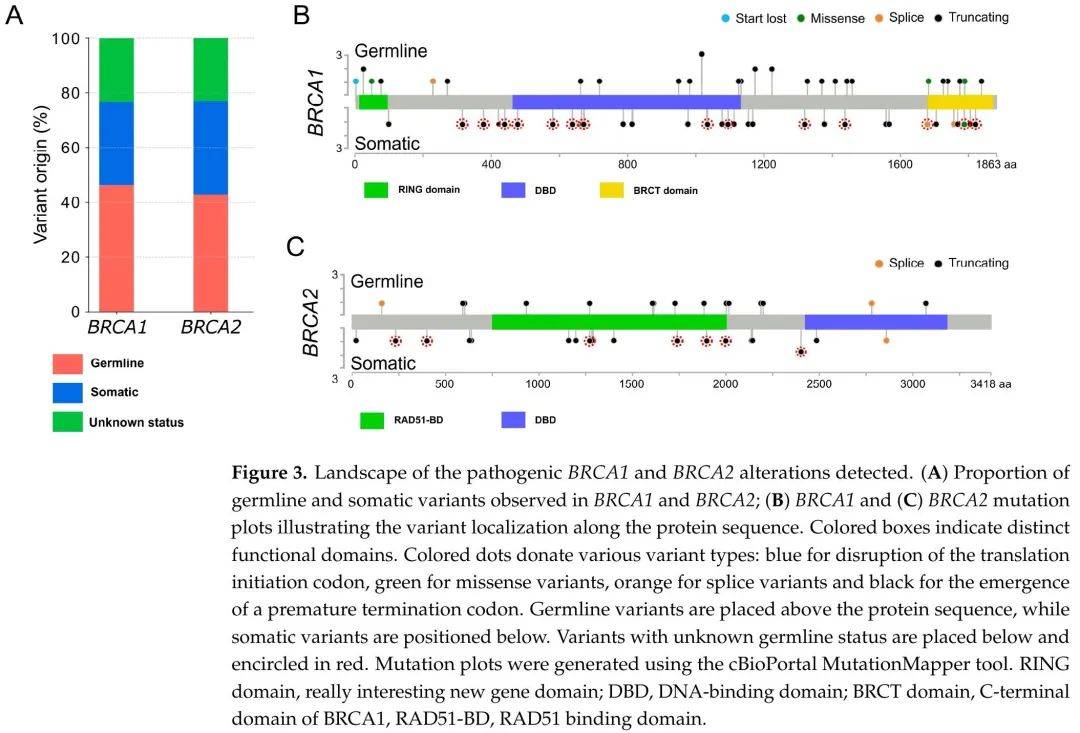 卵巢癌brca1vsbrca2,胚系vs體細胞,對鉑類和parp抑制劑療效有差別?_變