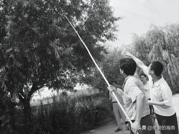 這不是瞎扯都是實話,6070年代農村人晚上做什麼,經歷