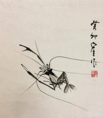 心中有白虾挥墨为祥龙· 新锐艺术家郭宏生为虾痴狂_对开_先生_创作