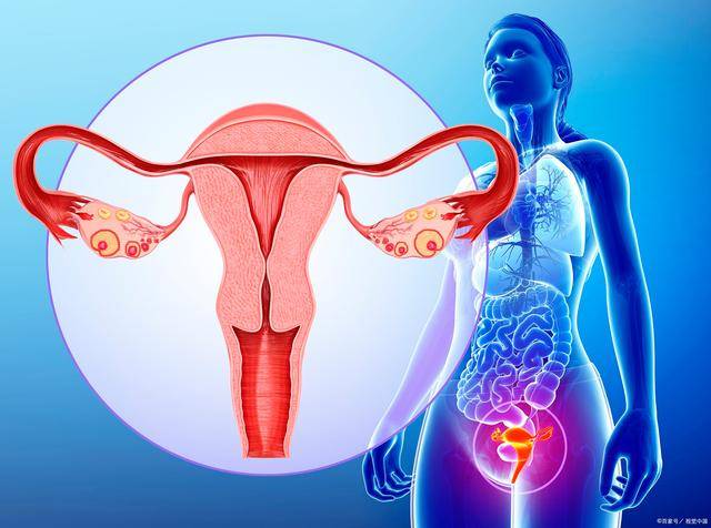 女性绝经后,或会出现2个难言之隐,医生直言:很正常,无需害羞_月经