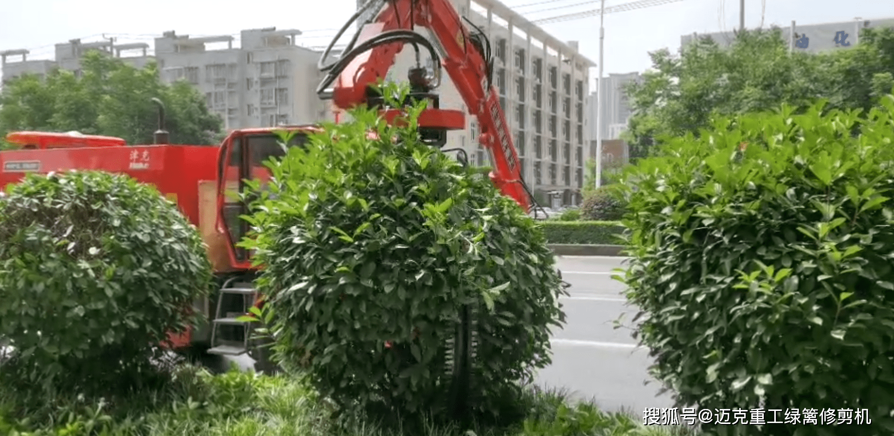 邁克重工 | 園林機械球形修剪機 修剪花園全自動修球機_工作_植物