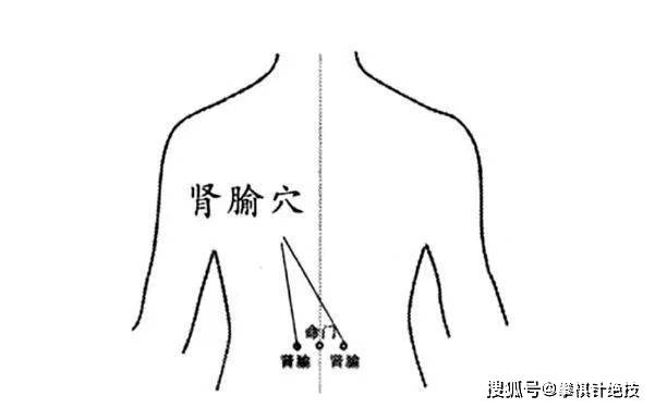 腎俞穴是腎臟氣血輸注於後背體表的部位,具有益腎助陽,納氣利水的作用