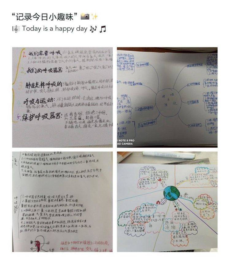 科學大道理——鄭州市惠濟區金窪小學四年級實踐活動_思維_操作_鍛鍊