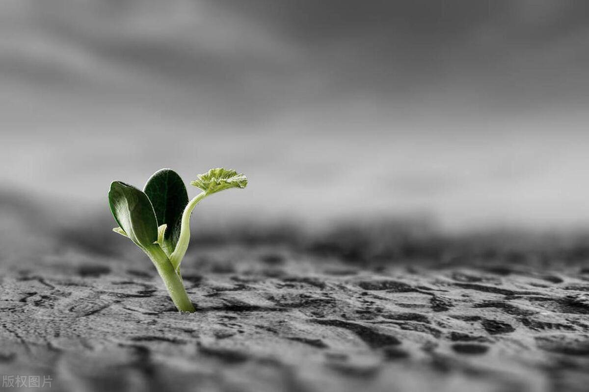 全神贯注,昂扬出击,实现幸福时光的目标导向_发展_社会_生命