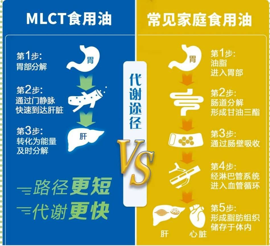 吃油能减肥--mlct中长链脂肪酸食用油