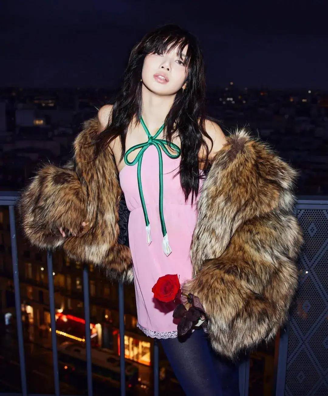 lisa再也回不去了,梭哈了所有筹码,就是为了这朵圣诞玫瑰_照片_儿子