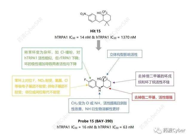 藥渡cyber解析拜耳開發的trpa1拮抗劑bay-390的設計及