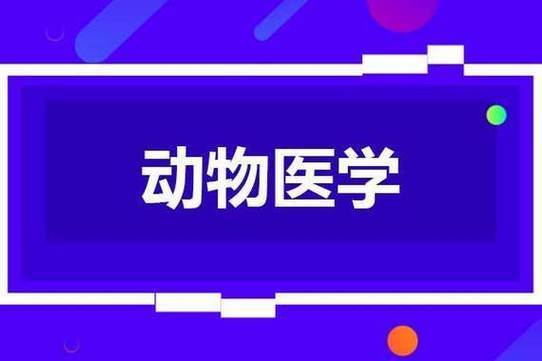 動物醫學專業可以考執業獸醫資格證嗎?_工作_能力_就業