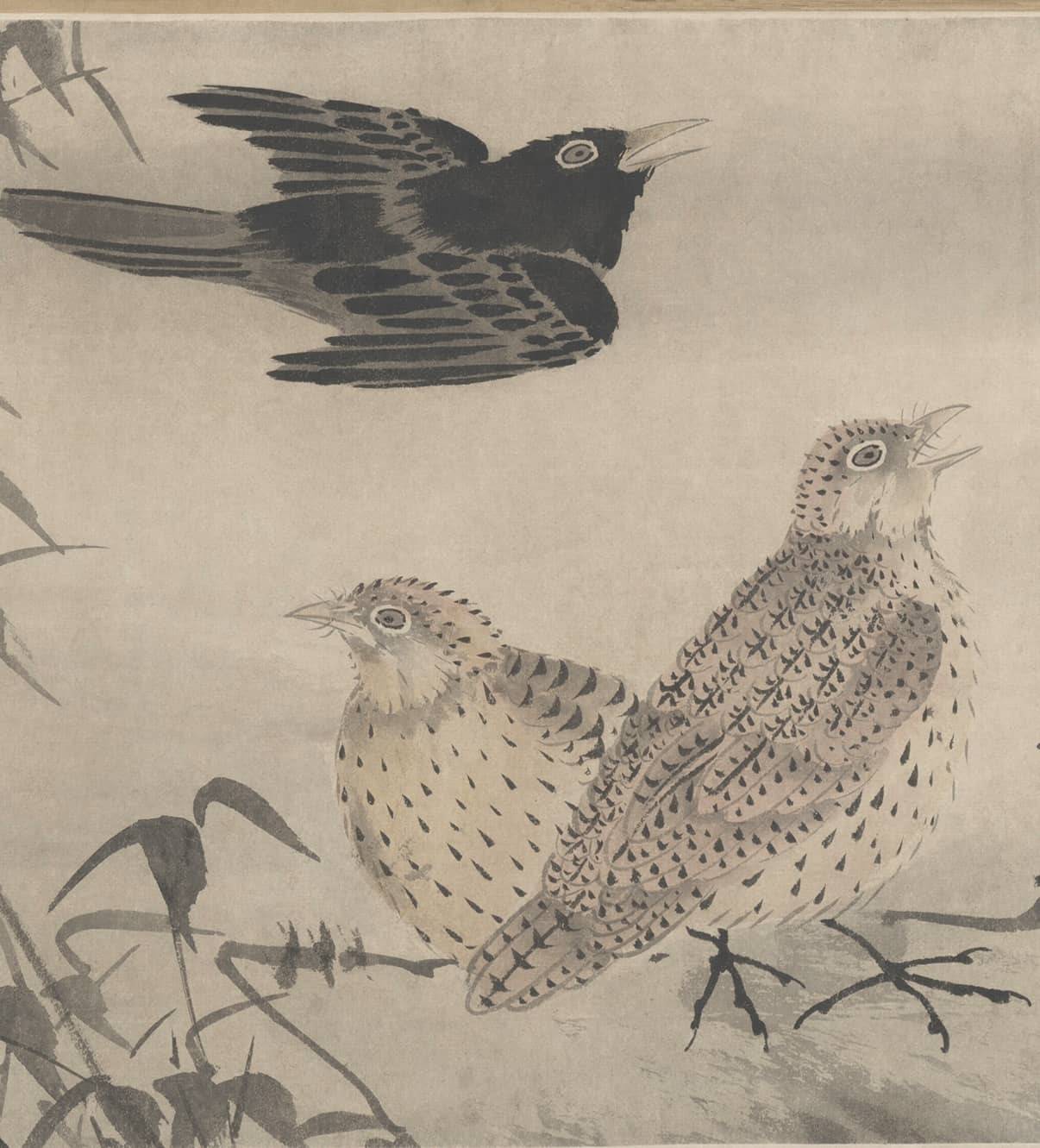 『历朝名绘』林良《灌木集禽图》全卷,精品巨制,景象万千_写意_花鸟画