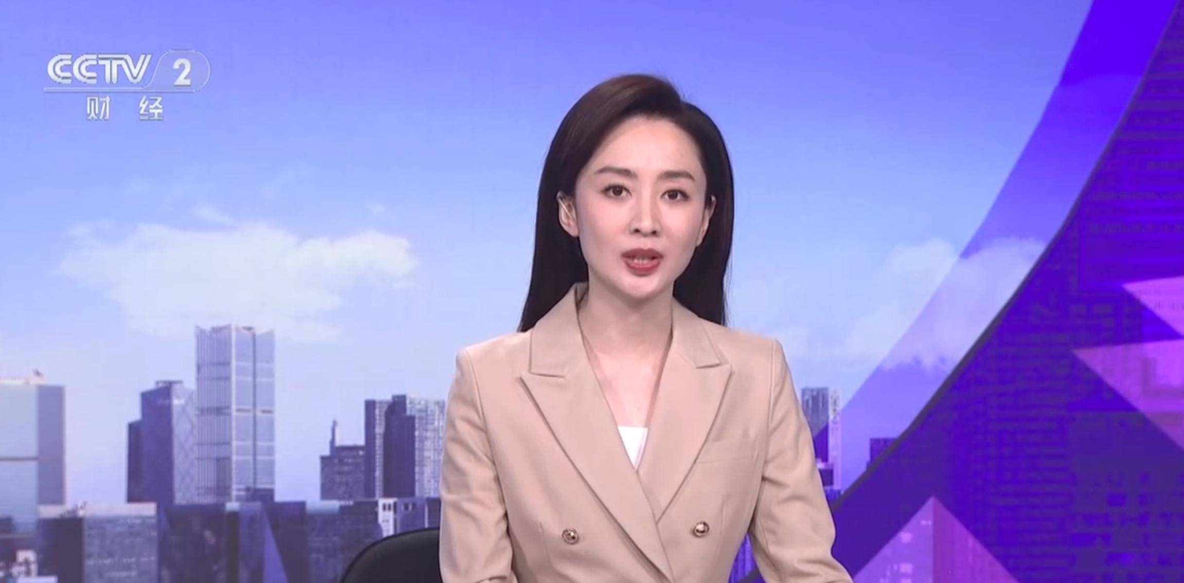 央视财经频道主持人蓓蓓年龄的简单介绍