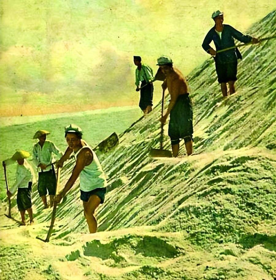掌握了盐就掌握了国家命脉？盐对于封建时的期统治者，有多重要？(图8)