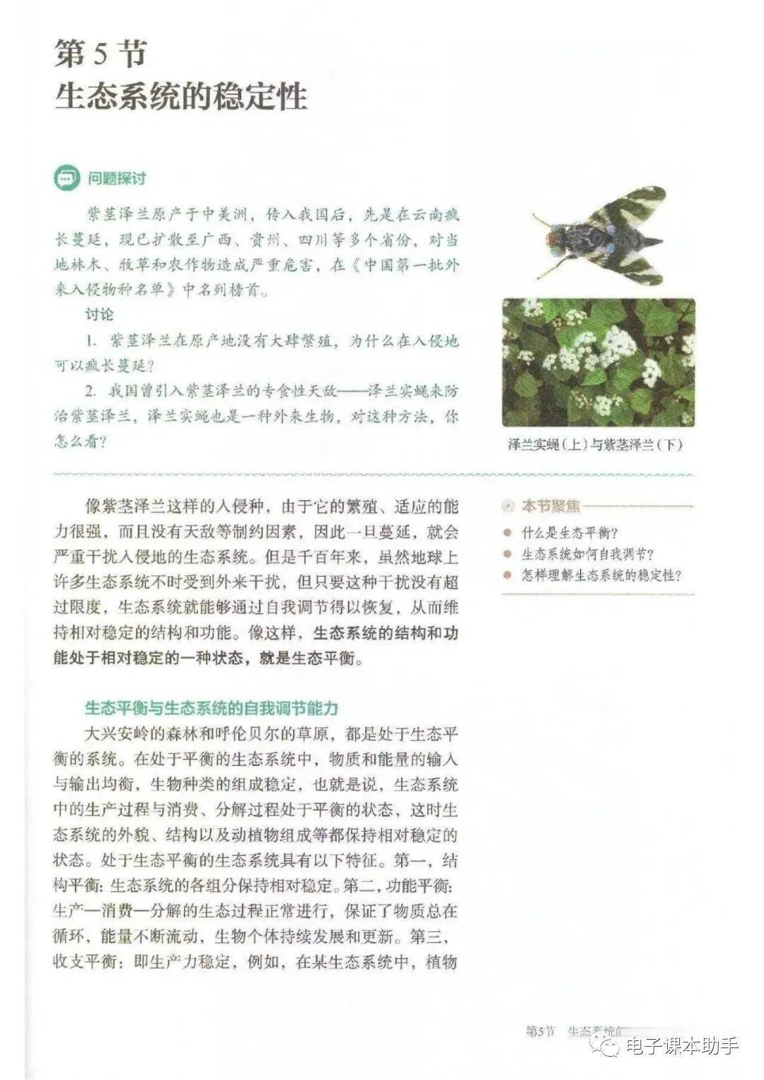 人教版高中生物必修二课本(人教版高中生物必修二课本封面) 第1张 人教版高中生物必修二课本(人教版高中生物必修二课本封面) 第1张