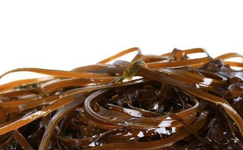 蒜蓉海带丝:海带300克,蒜蓉,香油醋味精各适量,做法:将海带洗净切成丝