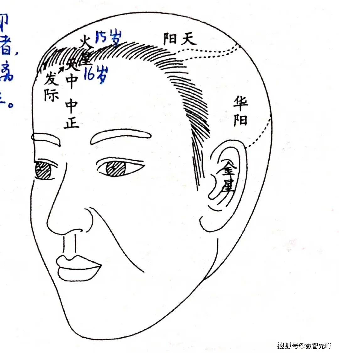 头顶形状面相图片