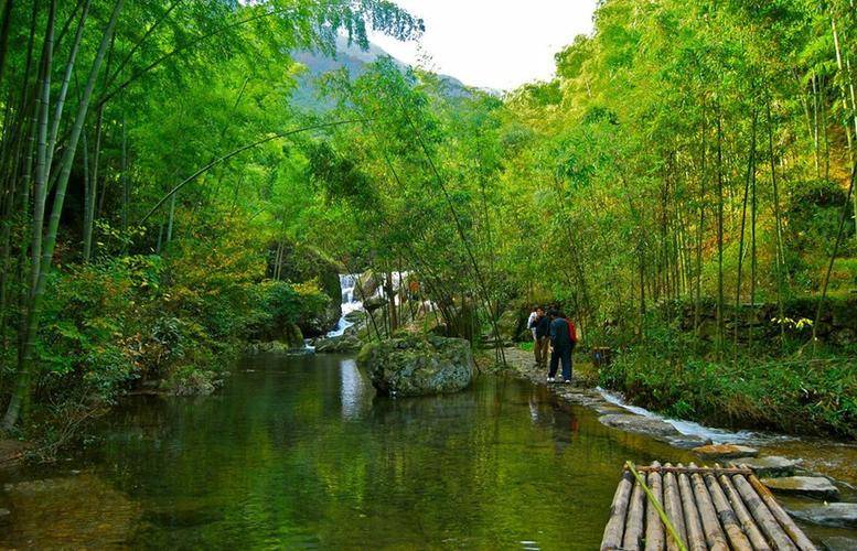 双溪竹海位于浙江省杭州西北30多公里处的余杭区双溪镇