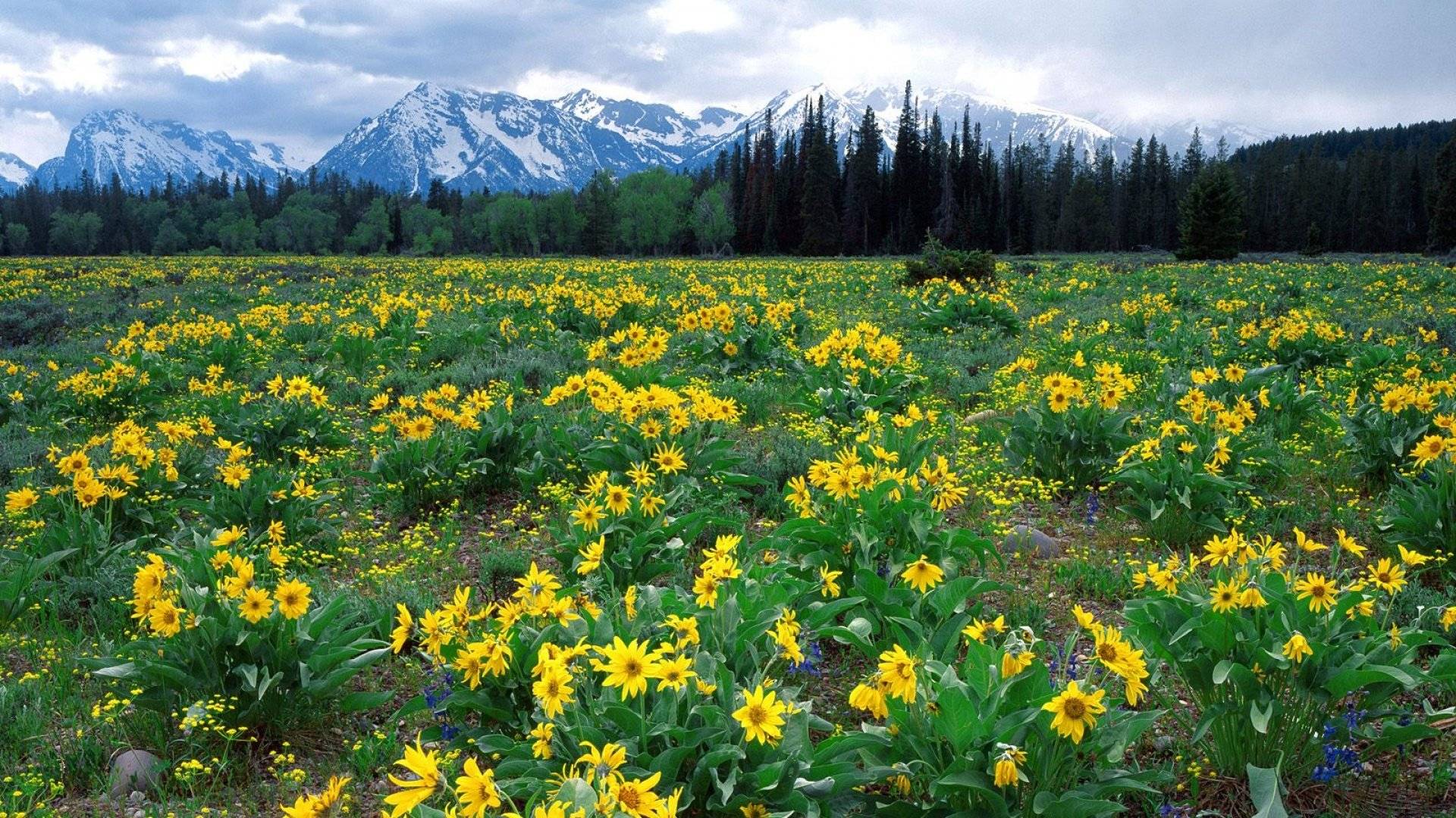 未来一周内,这三大生肖龙运势:有人天降奇财,有人结伴远行