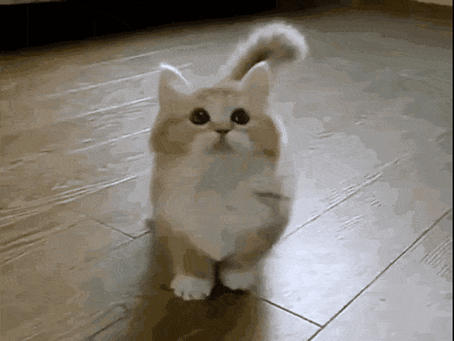 2月19日天蝎座今日运势,爱情运势上涨,红鸾星动,日子幸福甜蜜.