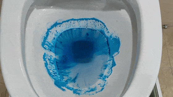 560_315gif 动态图 动图