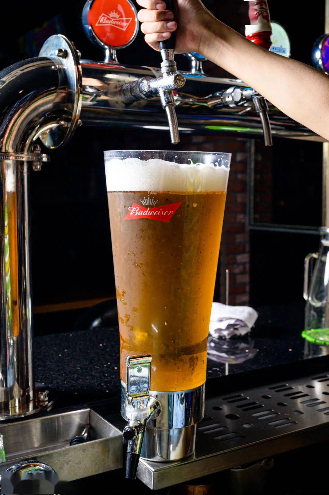 老司机不会止步于小瓶装啤酒,怎么说也要来3l装的生啤才能过瘾.