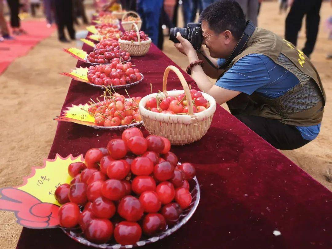 "毓秀白彦 醉美樱桃" 平邑白彦第二届樱桃文化节开幕啦!