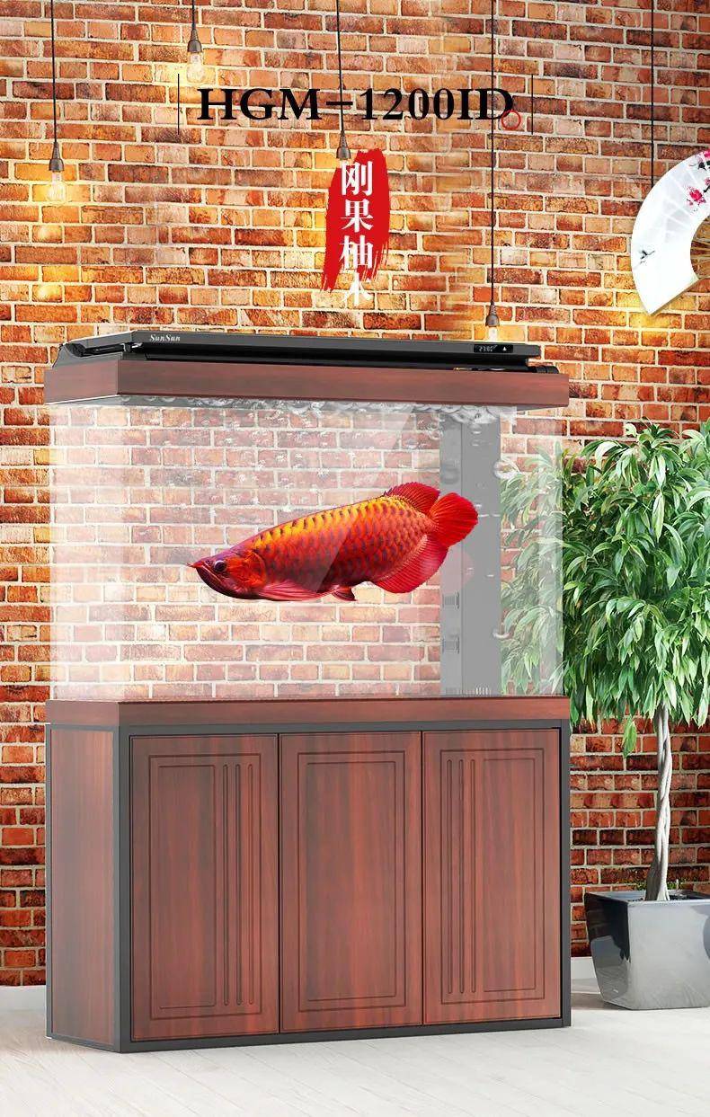轻奢型hgm无边框超白底滤水族箱上市
