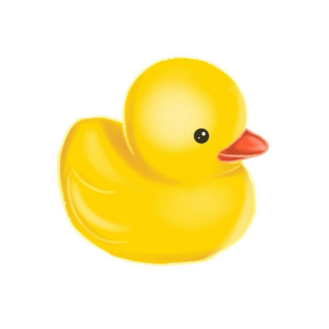 鸭咖duckycafe王思聪同款万元网红柯尔鸭邀你撸