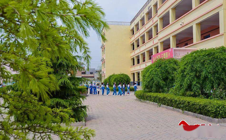 始建于1956年的杨场小学这次火遍甘谷人的朋友圈