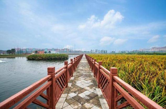 含谷镇当好发展急先锋开创高质量发展新局面