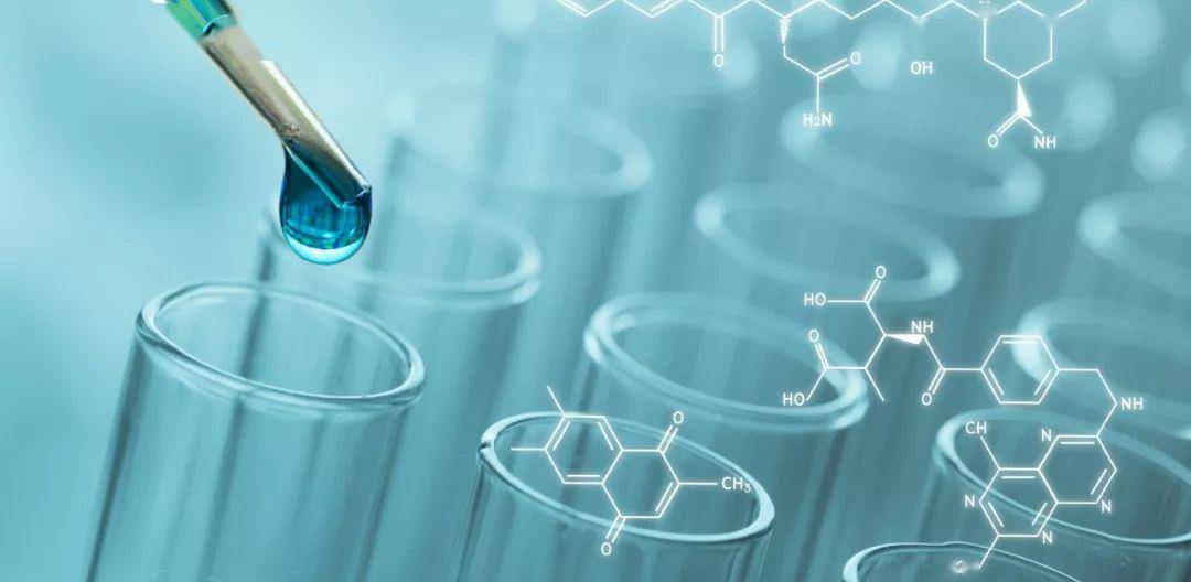 生物药物的研究与新药申报流程