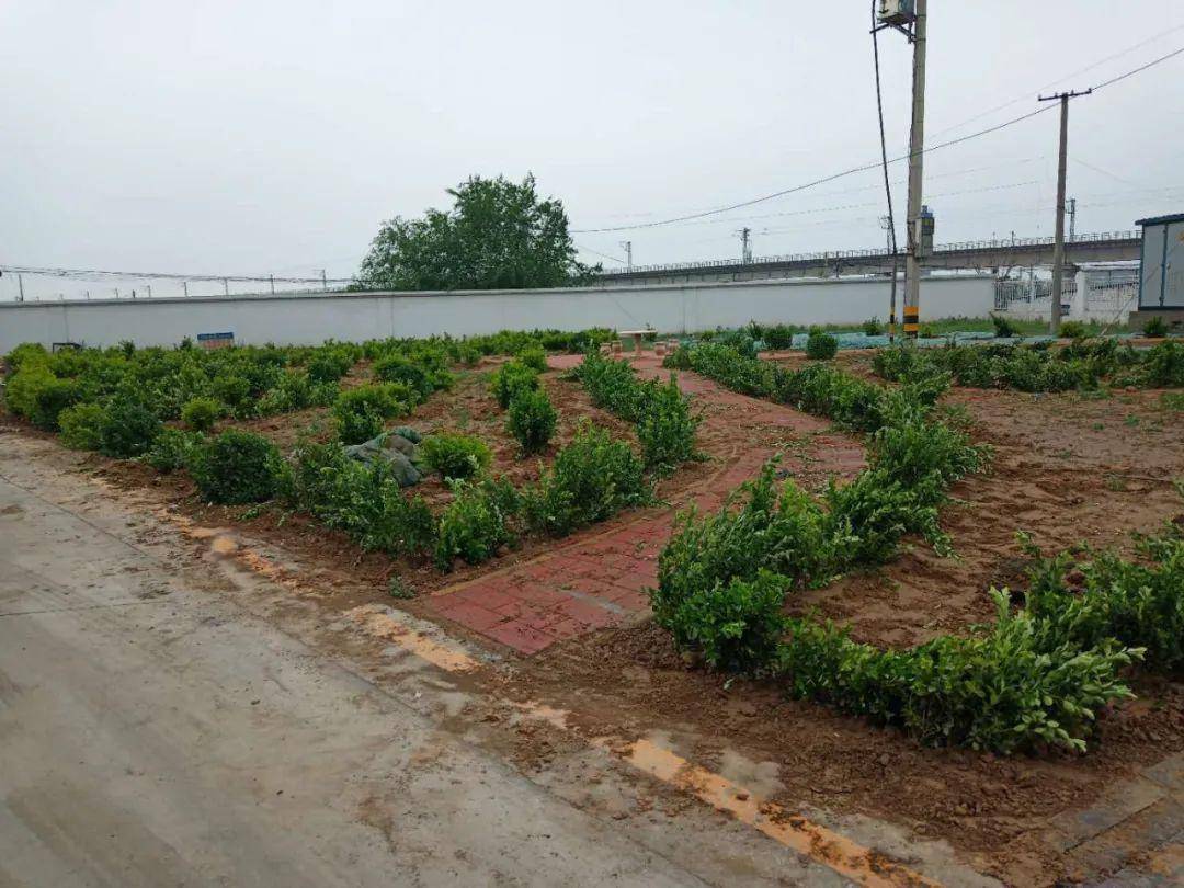 推进绿色企业创建厚植攻坚创效基础