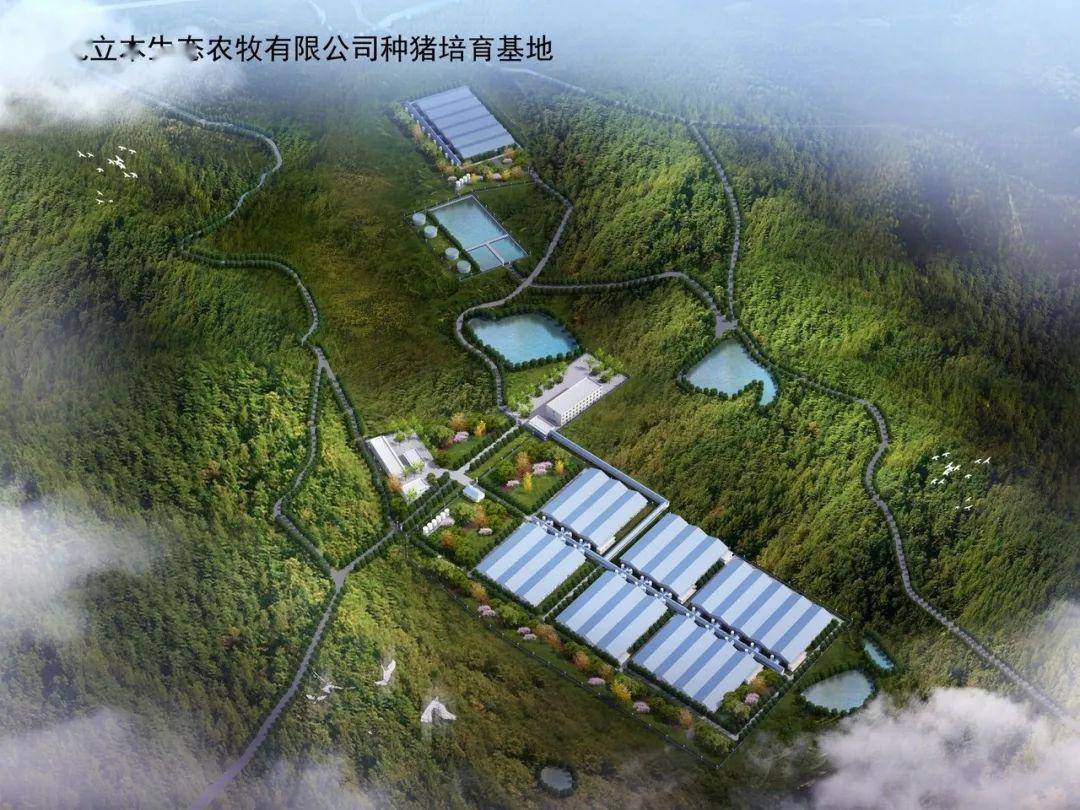 湖北立本生态农牧有限公司种猪培育基地开工仪式成功举行