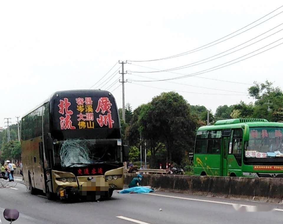 容县国道大巴撞摩托司机当场身亡行车安全这些你要知道