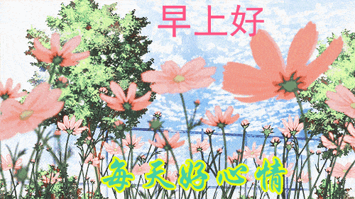 500_281gif 动态图 动图