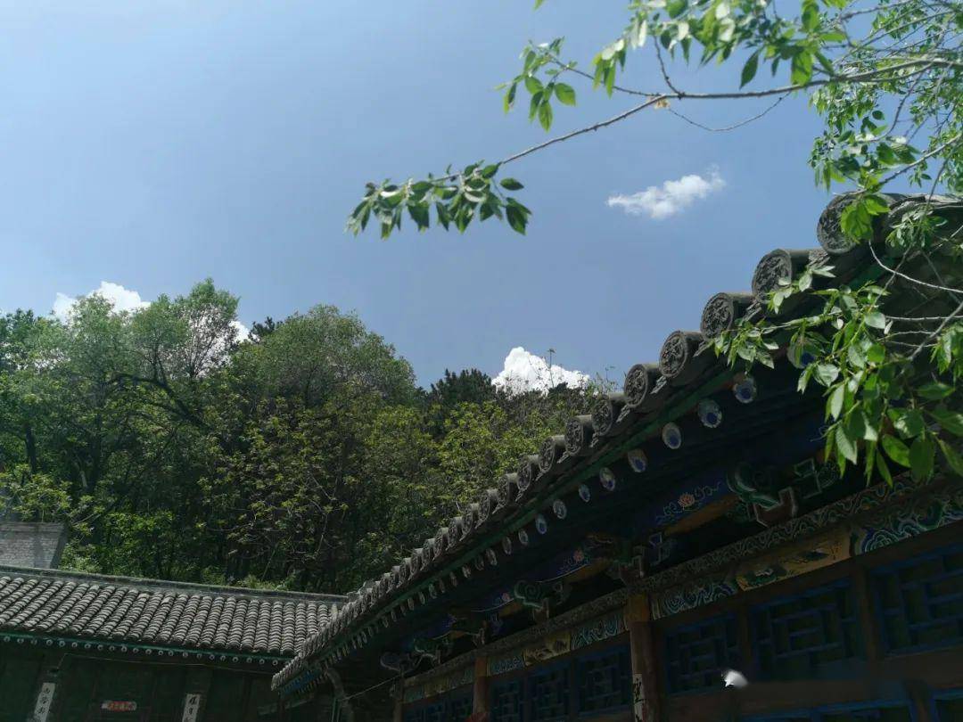 天然氧吧诸龙山森林公园